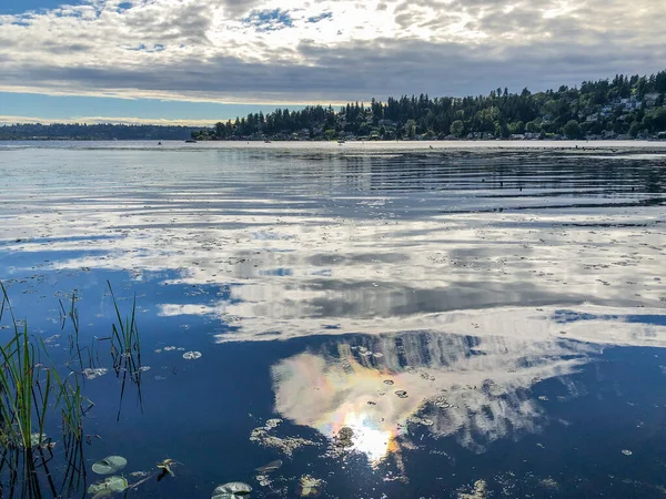 Juanita Bay Park Första Hand Ett Naturreservat Som Omger Washingtons — Stockfoto