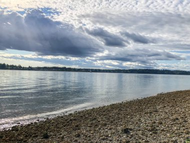Burfoot Park, Thurston County, Washington 'da bulunan bir parktır. Burfoot Parkı, Puget Sound Körfezi 'nin Budd Körfezi' nde 1,100 fit tuzlu su plajı olan 50 dönümlük bir araziye sahip..
