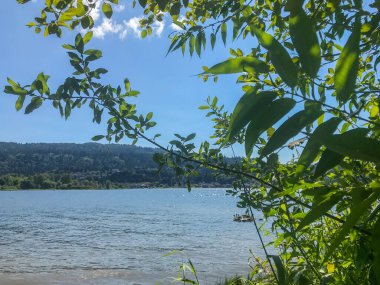 Sammamish Gölü Eyalet Parkı, ABD 'nin Washington eyaletinin King County kentinde Sammamish Gölü' nün güney ucunda yer alan bir parktır. Park Washington Eyalet Park Sistemi tarafından işletilmektedir..
