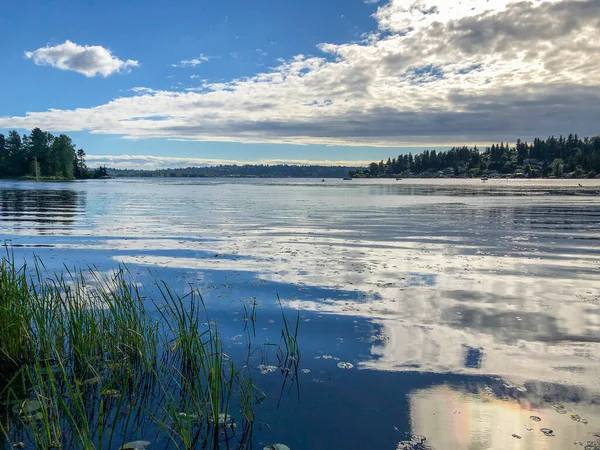 Juanita Bay Parkは ワシントン湖で最後の自然保護区の1つである フォーブスクリーク湿地 フアニタビーチ フアニタ湾の動植物や機能の景色があるフアニタ湾公園 — ストック写真