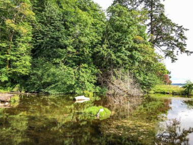 Burfoot Park, Thurston County, Washington 'da bulunan bir parktır. Burfoot Parkı, Puget Sound Körfezi 'nin Budd Körfezi' nde 1,100 fit tuzlu su plajı olan 50 dönümlük bir araziye sahip.
