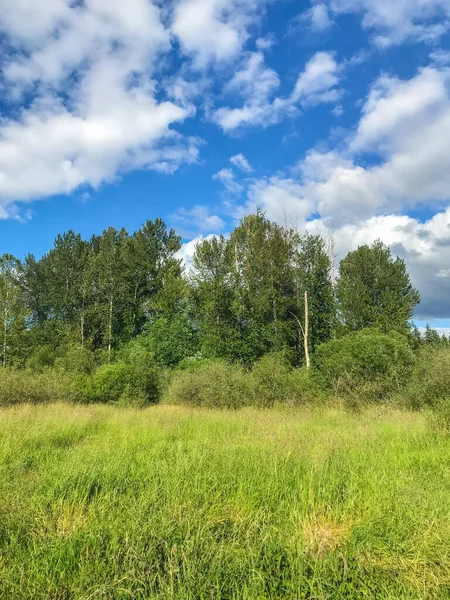 Juanita Körfezi Parkı öncelikle Washington Gölü 'nün kalan son doğal sulak alanlarından birini çevreleyen doğal bir koruma alanıdır. Juanita Körfezi Parkı bitki örtüsü ve faunayla doludur ve Forbes Creek Wetland, Juanita Sahili ve Juanita Körfezi manzarasına sahiptir..