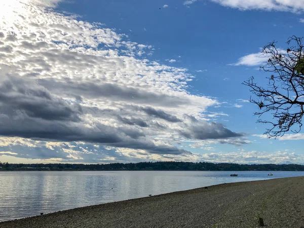 Burfoot Park, Thurston County, Washington 'da bulunan bir parktır. Burfoot Parkı, Puget Sound Körfezi 'nin Budd Körfezi' nde 1,100 fit tuzlu su plajı olan 50 dönümlük bir araziye sahip.