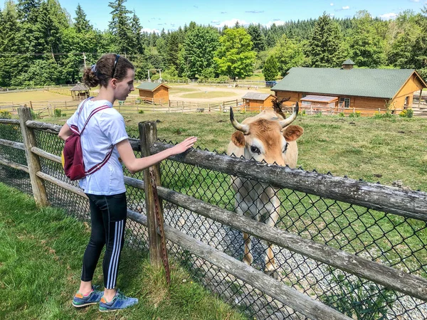 Ранчо Является Домом Животных Sammamish Animal Sanctuary Место Ранее Бездомных — стоковое фото