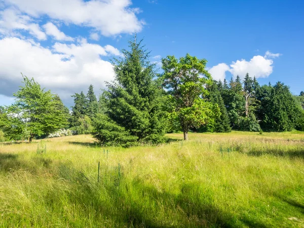 Juanita Bay Park Vooral Een Natuurreservaat Rond Een Van Lake — Stockfoto