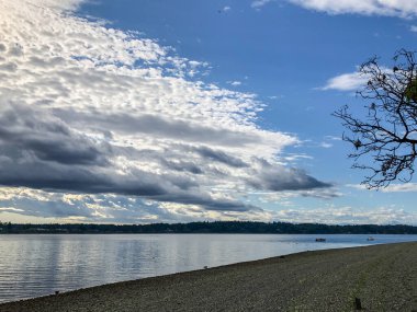 Burfoot Park, Thurston County, Washington 'da bulunan bir parktır. Burfoot Parkı, Puget Sound Körfezi 'nin Budd Körfezi' nde 1,100 fit tuzlu su plajı olan 50 dönümlük bir araziye sahip..