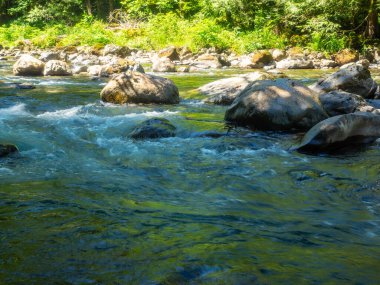 Ilımlı yollar popüler Twin Falls 'a, daha küçük Weeks Falls' a ve çağlayan diğer sulara ya da Cedar Butte 'ye doğru büyük bir heyelanın kalıntılarına götürür..
