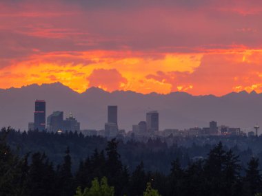 Güneşli bir günde Seattle günbatımı gökyüzü manzarası.
