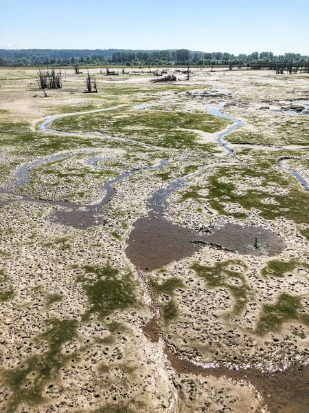 Nisequally Reach Aquatic Reserve Který Zahrnuje Státem Vlastněné Vodní Plochy — Stock fotografie