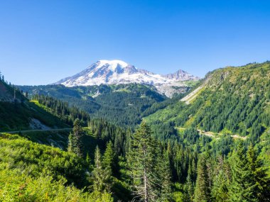 Mount Rainier Ulusal Parkı (İngilizce: Mount Rainier National Park), ABD 'nin başkenti Washington eyaletinin güneydoğu Pierce County ve kuzeydoğu Lewis County' de bulunan ulusal park. En yüksek nokta