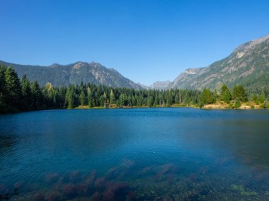Gold Creek Pond Loop, Washington, Snoqualmie Geçidi yakınlarında bulunan ve tüm beceri seviyeleri için uygun olan 1,2 millik yoğun bir döngü yoludur. İzler bir dizi etkinlik seçeneği sunuyor ve yıl boyunca ulaşılabilir. Köpekler de öyle.