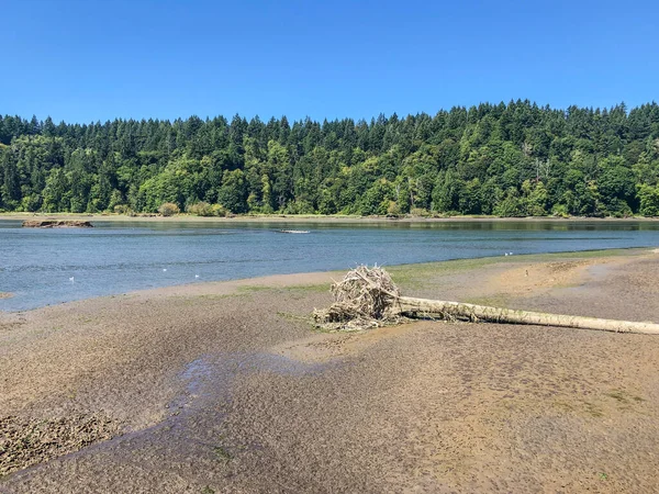 Nisqually Reach Aquatic Reserve Qui Comprend Les Terres Aquatiques Appartenant — Photo