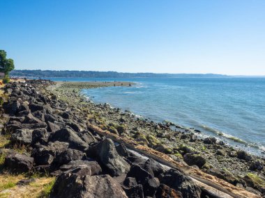 Tuzlu Su Parkı, ABD 'nin Washington eyaletinin Des Moines kentindeki Puget Sound' da bulunan ikinci büyüme kerestelerinden oluşan bir parktır. Esas ilgi odağı, güneybatı köşesindeki kumlu yüzme sahili ve kayalık tideflats alo da dahil olmak üzere tuzlu su sahili.