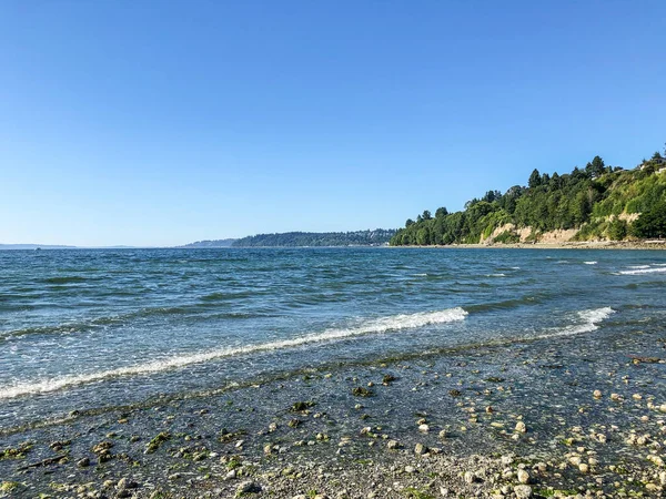 Saltwater State Park Ist Ein Stück Zweitwachsenden Holzes Puget Sound — Stockfoto