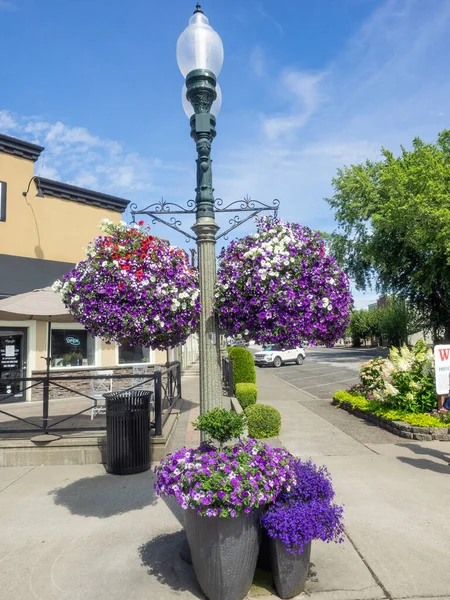 リンデン市はアメリカ合衆国ワットコム郡で2番目に大きな都市である ベリンガムから北に15マイル カナダ国境から南に約5マイル である — ストック写真