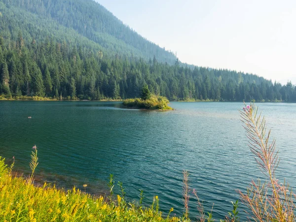 Золотая Петля Пруда Gold Creek Pond Loop Густонаселенная Тропа Длиной — стоковое фото