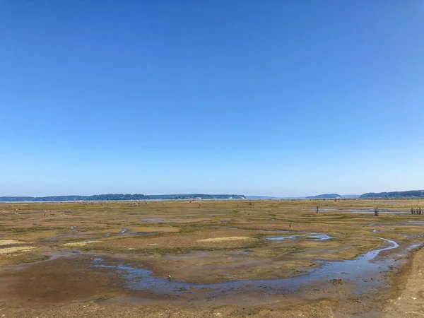 Nisqually Reach水生保护区 包括包括Nisqually河三角洲在内的大陆国有水生土地 以及Anderson岛 Ketron岛和Eagle岛周围的国有土地和海滩 — 图库照片