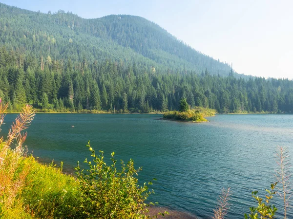 Золотая Петля Пруда Gold Creek Pond Loop Густонаселенная Тропа Длиной — стоковое фото