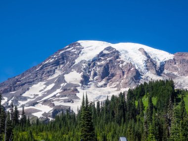 Cennet, ulusal parktaki Rainier Dağı 'nın güney yamacındaki yaklaşık 1.600 metre yüksekliğindeki bir bölgenin adıdır. Cennet Rainier Dağı Ulusal Parkı ziyaretçileri için en popüler yerdir..