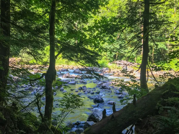 Umiarkowane Szlaki Prowadzą Popularnych Twin Falls Mniejszych Wodospadów Tygodni Innych — Zdjęcie stockowe