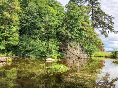 Burfoot Park, Thurston County, Washington 'da bulunan bir parktır. Burfoot Parkı, Puget Sound Körfezi 'nin Budd Körfezi' nde 1,100 fit tuzlu su plajı olan 50 dönümlük bir araziye sahip..