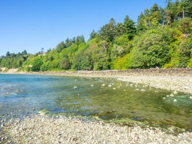 Tuzlu Su Parkı, ABD 'nin Washington eyaletinin Des Moines kentindeki Puget Sound' da bulunan ikinci büyüme kerestelerinden oluşan bir parktır. Esas ilgi odağı, güneybatı köşesindeki kumlu yüzme sahili ve kayalık tideflats alo da dahil olmak üzere tuzlu su sahili.