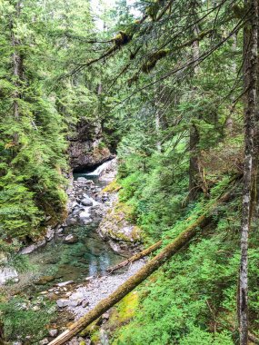 Franklin Şelalesi, Snoqualmie Nehri 'nin güney çatalında, South Fork Snoqualmie Nehri üzerindeki üç büyük şelaleden ilki olan bir şelaledir. Şelale, Amerika Birleşik Devletleri 'nin başkenti Washington' daki King County 'de Snoqualmie Geçidi yakınlarında yer almaktadır.