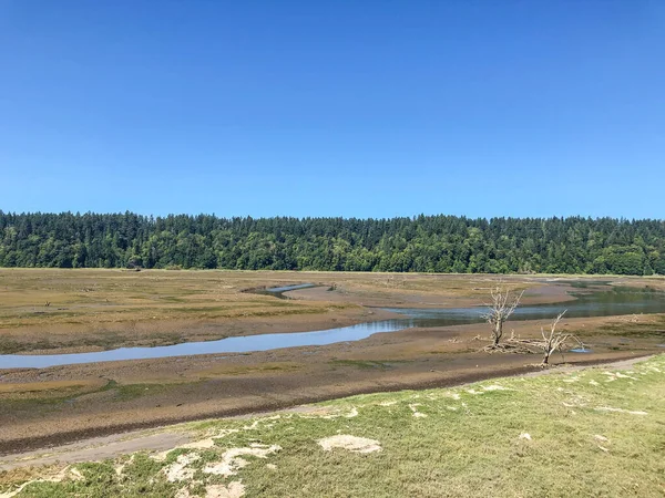 Nisqually Reach Aquatic Reserve Który Obejmuje Państwowe Tereny Wodne Kontynencie — Zdjęcie stockowe