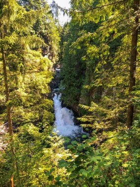 Ilımlı yollar popüler Twin Falls 'a, daha küçük Weeks Falls' a ve çağlayan diğer sulara ya da Cedar Butte 'ye doğru büyük bir heyelanın kalıntılarına götürür..