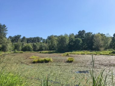 Nisqually Reach Sucul Rezervi, Nisqually Nehri deltası da dahil olmak üzere anakaradaki kamu su arazilerini ve Anderson Adası, Ketron Adası ve Kartal Adası 'nı çevreleyen devlet yatak alanları ve plajları kapsar..