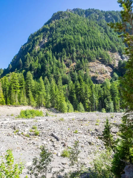 Park Narodowy Mount Rainier Park Narodowy Położony Południowo Wschodniej Części — Zdjęcie stockowe