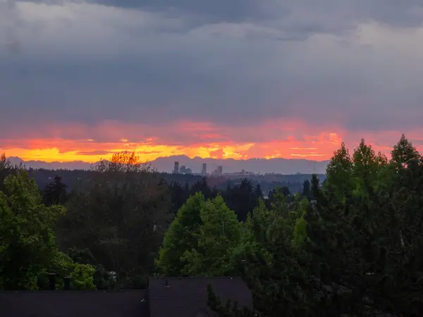 Seattle Vista Horizonte Pôr Sol Dia Ensolarado — Fotografia de Stock