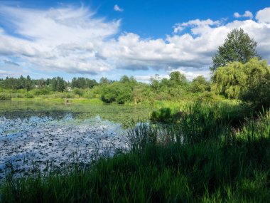 Juanita Körfezi Parkı öncelikle Washington Gölü 'nün kalan son doğal sulak alanlarından birini çevreleyen doğal bir koruma alanıdır. Juanita Körfezi Parkı bitki örtüsü ve faunayla doludur ve Forbes Creek Wetland, Juanita Sahili ve Juanita Körfezi manzarasına sahiptir..