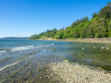 Tuzlu Su Parkı, ABD 'nin Washington eyaletinin Des Moines kentindeki Puget Sound' da bulunan ikinci büyüme kerestelerinden oluşan bir parktır. Esas ilgi odağı, güneybatı köşesindeki kumlu yüzme sahili ve kayalık tideflats alo da dahil olmak üzere tuzlu su sahili.