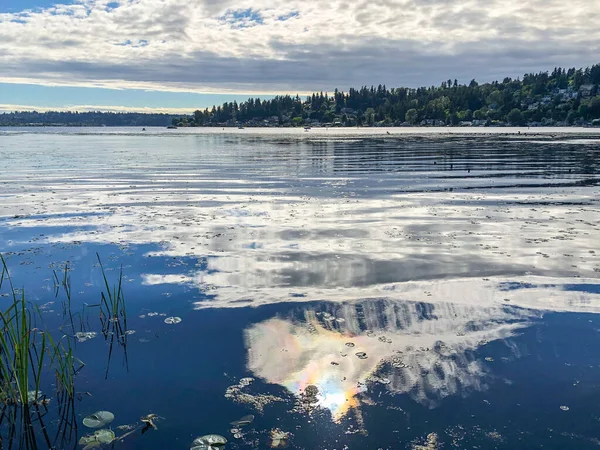 Juanita Bay Park Första Hand Ett Naturreservat Som Omger Washingtons — Stockfoto