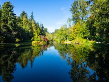 Whatcom Falls Park, ABD 'nin Washington eyaletinin Bellingham kentinde bulunan 241 dönümlük bir parktır. Şelale Whatcom Creek 'te, Whatcom Gölü' nden Bellingham Körfezi 'ne gidiyor. Parkın dört set şelalesi ve birkaç kilometrelik iyi korunan yürüyüşü var.