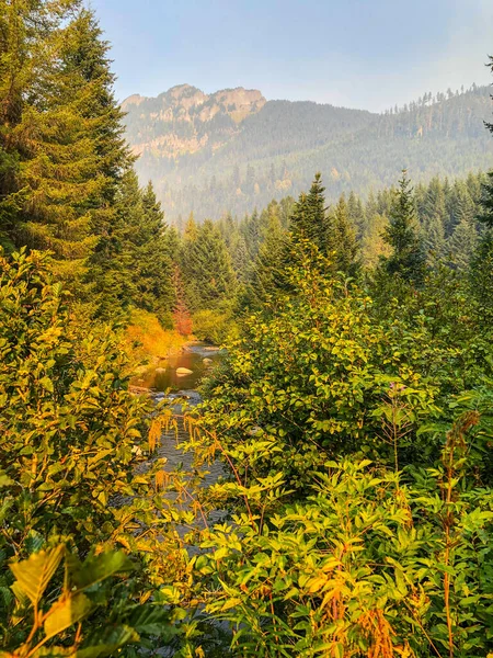 Gold Creek Pond Loop Είναι Ένα Μίλια Μεγάλο Βαθμό Trafficked — Φωτογραφία Αρχείου