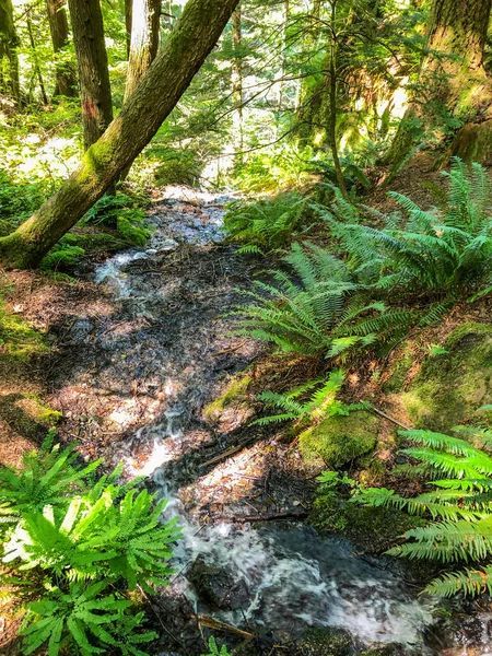 Moderate trails lead to the popular Twin Falls, the smaller Weeks Falls and other cascading water falls, or past the remains of a massive landslide to Cedar Butte.