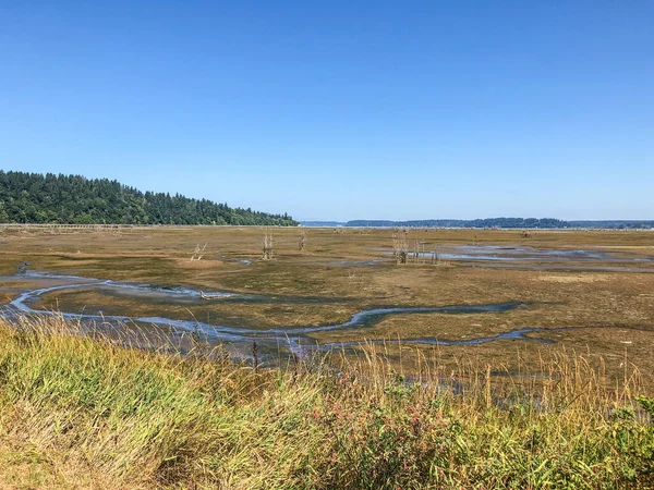 Nisqually Reach Aquatic Reserve Que Inclui Terras Aquáticas Estatais Continente — Fotografia de Stock