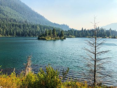 Gold Creek Pond Loop, Washington, Snoqualmie Geçidi yakınlarında bulunan ve tüm beceri seviyeleri için uygun olan 1,2 millik yoğun bir döngü yoludur. İzler bir dizi etkinlik seçeneği sunuyor ve yıl boyunca ulaşılabilir. Köpekler de öyle.