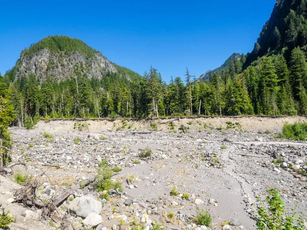 Parc National Mont Rainier Est Parc National Américain Situé Dans — Photo