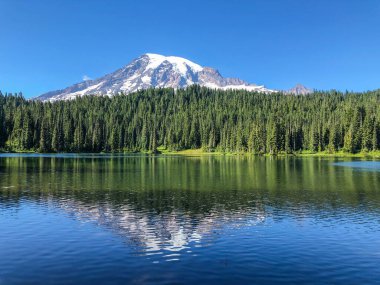 Dağ 'ın en ikonik manzaralarından biri. Parkta Rainier 'i yansıma göllerinde bulabilirsiniz..