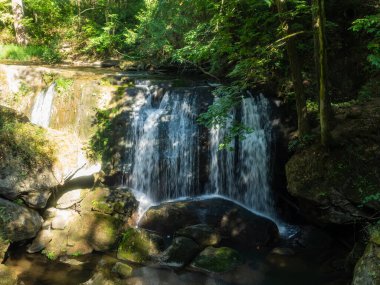 Whatcom Falls Park, ABD 'nin Washington eyaletinin Bellingham kentinde bulunan 241 dönümlük bir parktır. Şelale Whatcom Creek 'te, Whatcom Gölü' nden Bellingham Körfezi 'ne gidiyor. Parkın dört set şelalesi ve birkaç kilometrelik iyi korunan yürüyüşü var.