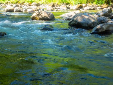 Ilımlı yollar popüler Twin Falls 'a, daha küçük Weeks Falls' a ve çağlayan diğer sulara ya da Cedar Butte 'ye doğru büyük bir heyelanın kalıntılarına götürür..