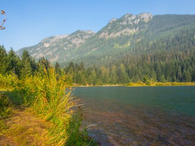 Gold Creek Pond Loop, Washington, Snoqualmie Geçidi yakınlarında bulunan ve tüm beceri seviyeleri için uygun olan 1,2 millik yoğun bir döngü yoludur. İzler bir dizi etkinlik seçeneği sunuyor ve yıl boyunca ulaşılabilir. Köpekler de öyle.