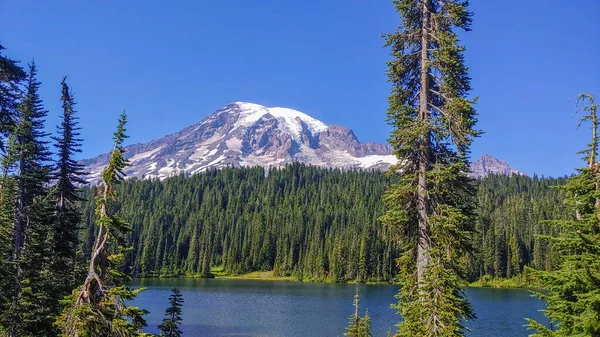 Mount Rainier National Park Parque Nacional Ubicado Condado Pierce Estado —  Fotos de Stock