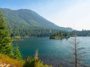 Gold Creek Pond Loop, Washington, Snoqualmie Geçidi yakınlarında bulunan ve tüm beceri seviyeleri için uygun olan 1,2 millik yoğun bir döngü yoludur. İzler bir dizi etkinlik seçeneği sunuyor ve yıl boyunca ulaşılabilir. Köpekler de öyle.