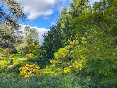 Kubota Garden, Washington, Seattle 'da bulunan Rainier Beach' te 81.000 metrekarelik bir Japon bahçesidir. Kubota Bahçesi 'nin başlıca özellikleri Kubota Terası, Bambu Korusu, Göletlerin Kolyesi, Dağ Yamacıdır., 
