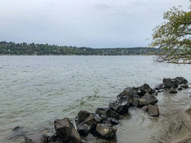 Saint Edward State Park, Kenmore, Washington ve Kirkland, Washington 'da bulunan 316 hektarlık bir parktır. Bisikletçiler ve yürüyüşçüler için parkta bir dizi patika var. Orman tepe örtüsü öncelikle Batı Redcedar 'daki Douglas-fir Sahili' nden oluşur.