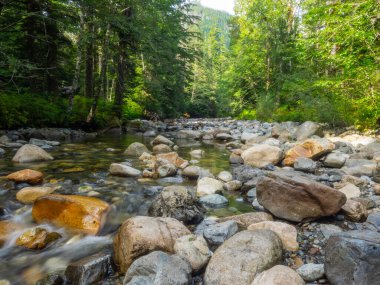 Franklin Şelalesi, Snoqualmie Nehri 'nin güney çatalında, South Fork Snoqualmie Nehri üzerindeki üç büyük şelaleden ilki olan bir şelaledir. Şelale, Amerika Birleşik Devletleri 'nin başkenti Washington' daki King County 'de Snoqualmie Geçidi yakınlarında yer almaktadır.